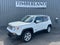 2017 Jeep Renegade Limited 4x4